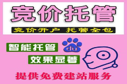 专业SEM运营托管服务案例分析